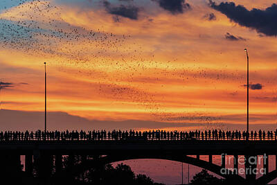  Photograph - Spectacular sunset to watch Austin's Congress Bridge Bats take f by Austin Bat Tours