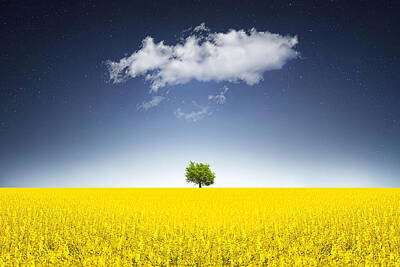 Designs Similar to Surreal Canola Field