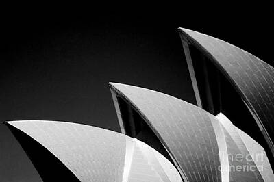 Designs Similar to Sydney Opera House 