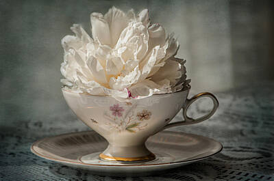 Designs Similar to Peony in a Teacup 