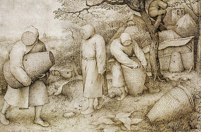 Pieter Bruegel Drawings