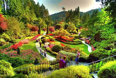 Butchart Garden Mural Original Artwork