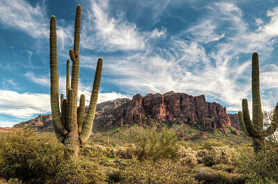  Photograph - Twizzle Clouds in the Desert by DLP Squared Photography