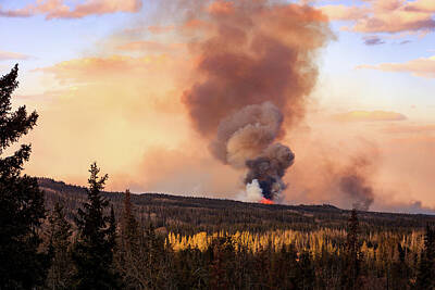 Prescribed Fire Art