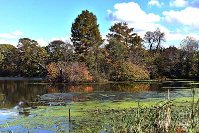 Designs Similar to Urieville Pond by Skip Willits