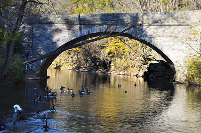 Designs Similar to Valley Green Bridge