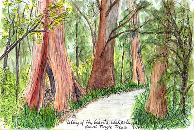  Drawing - Valley of the Giants by Anne Huth