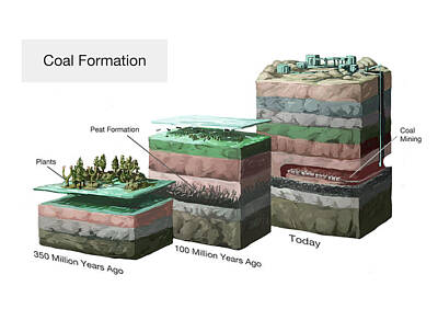 Designs Similar to Coal Formation #1