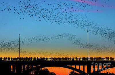  Photograph - Hundreds of people gather to see the world's largest urban bat c by Austin Bat Tours