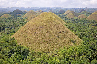 The Mound Art