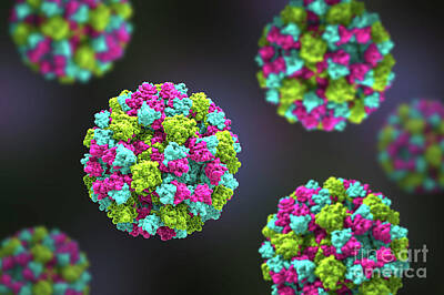 Designs Similar to Norovirus #8