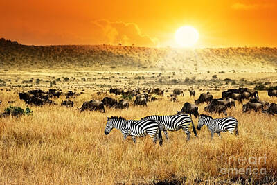 Designs Similar to African Landscape Zebras Herd