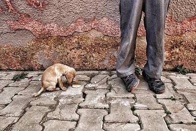 Dog And Shoes Art