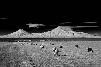 Ararat Photos