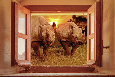 Designs Similar to Behind the Window in Africa