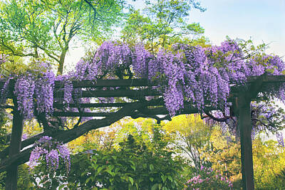 Designs Similar to A Whiff of Wisteria  