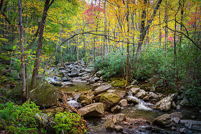 Designs Similar to Cascading Waters in Autumn