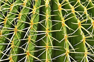 Designs Similar to Close view of cactus plant IV