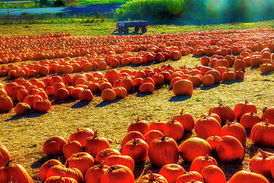 Designs Similar to Coastal Pumpkin Field