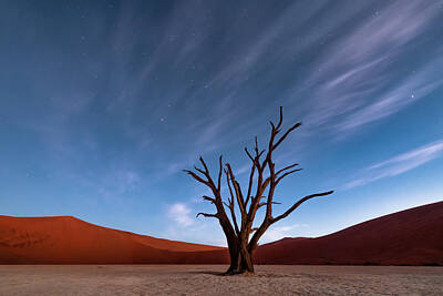 Deadvlei Art Prints