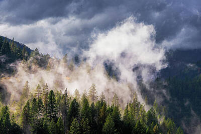  Photograph - Fog and Mist Rising from a Mountain After A Storm by Ben North