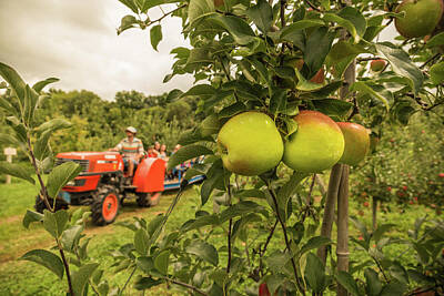 Solebury Farm Art Prints