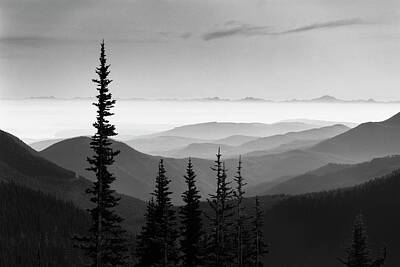 Hurricane Ridge Art Prints