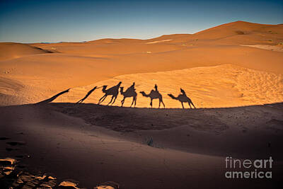 Designs Similar to Long Shadows Of Camel Caravan