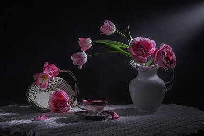 Pink Tea Rose Photos