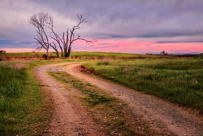  Photograph - Rural Country Road At Sunset by Ben North