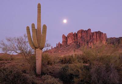 Lost Dutchman Digital Art