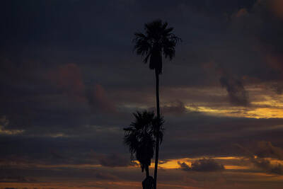  Photograph - Santa Monica Sunset, 2012 by Chris Hunt