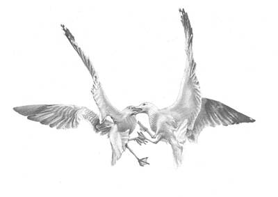 Designs Similar to Sea-gulls by Volha Drapeza