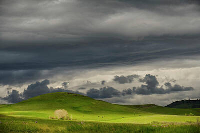  Photograph - Spring Storm Over Green Hills by Ben North
