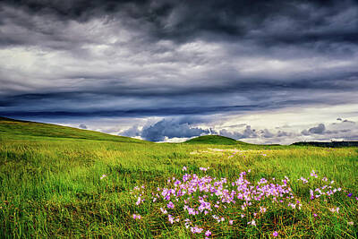  Photograph - Spring Storm Over Wildflowers by Ben North
