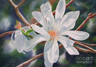 Designs Similar to Star Magnolia and Bud