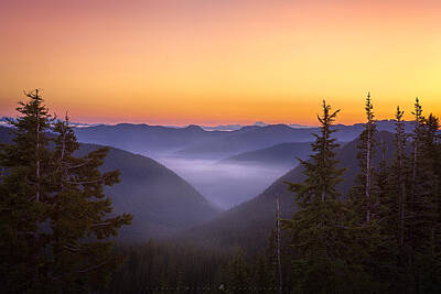 Mount Rainier National Park Photos