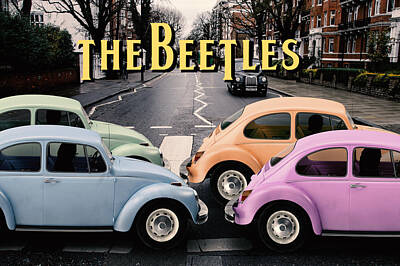 Designs Similar to The Beetles by Tim Palmer