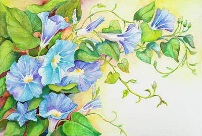 Morning Glory Vine Art Prints