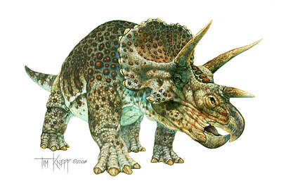 Triceratops Paintings