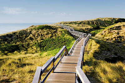 Designs Similar to Wooden Footbridge Over Dunes