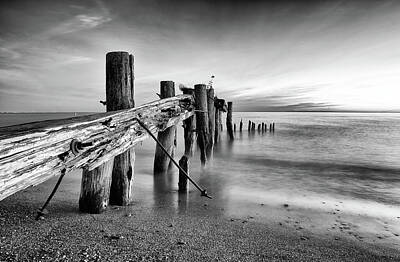  Photograph - 50 Point Pier by Chris DeLaat