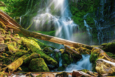  Photograph - Afternoon at Proxy Falls by Rose and Charles Cox