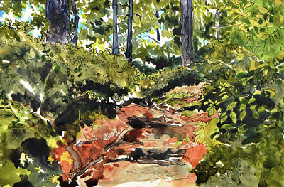  Painting - Along the Path by Brenda Jiral