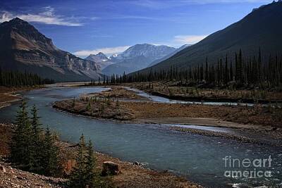 Athabasca River Art