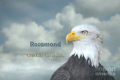 Rosamond California Art Prints