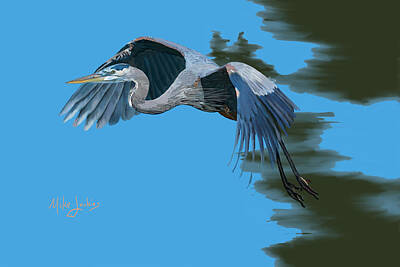  Digital Art - Blue Heron Taking Flight by Mike Jenkins