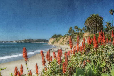  Photograph - Butterfly Beach 2 by Beth Taylor