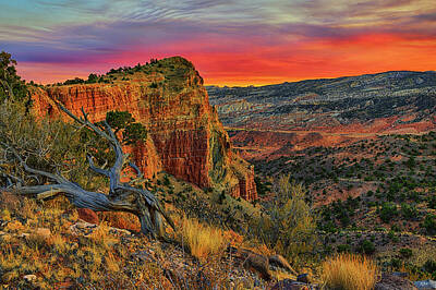  Photograph - Capitol Reef South Desert Sunset by Greg Norrell