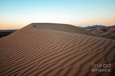 Photograph - Desert Evening by Jennifer Magallon